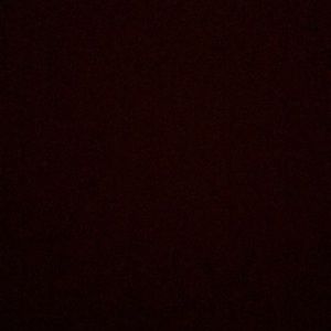 Meet your Posher, Cheyanne